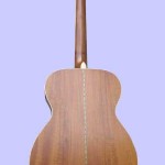 guitarback guitarback