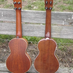 Mahogany Ukes 004 • <a style="font-size:0.8em;" href="http://www.flickr.com/photos/138964130@N04/24103789736/" target="_blank">View on Flickr</a>