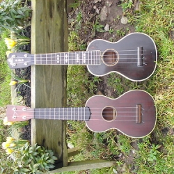 Gibson & Martin ukes • <a style="font-size:0.8em;" href="http://www.flickr.com/photos/138964130@N04/24129901565/" target="_blank">View on Flickr</a>